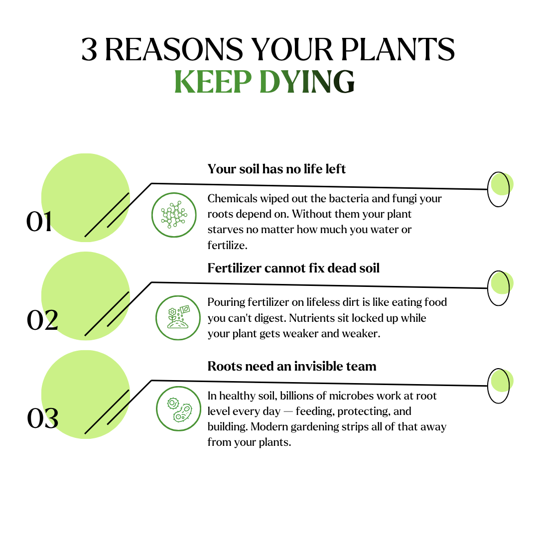 Plant Super Boost