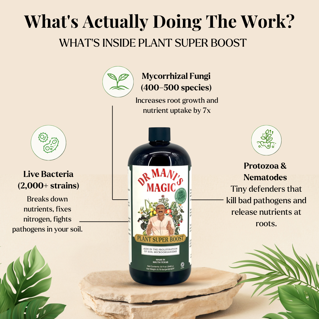Plant Super Boost