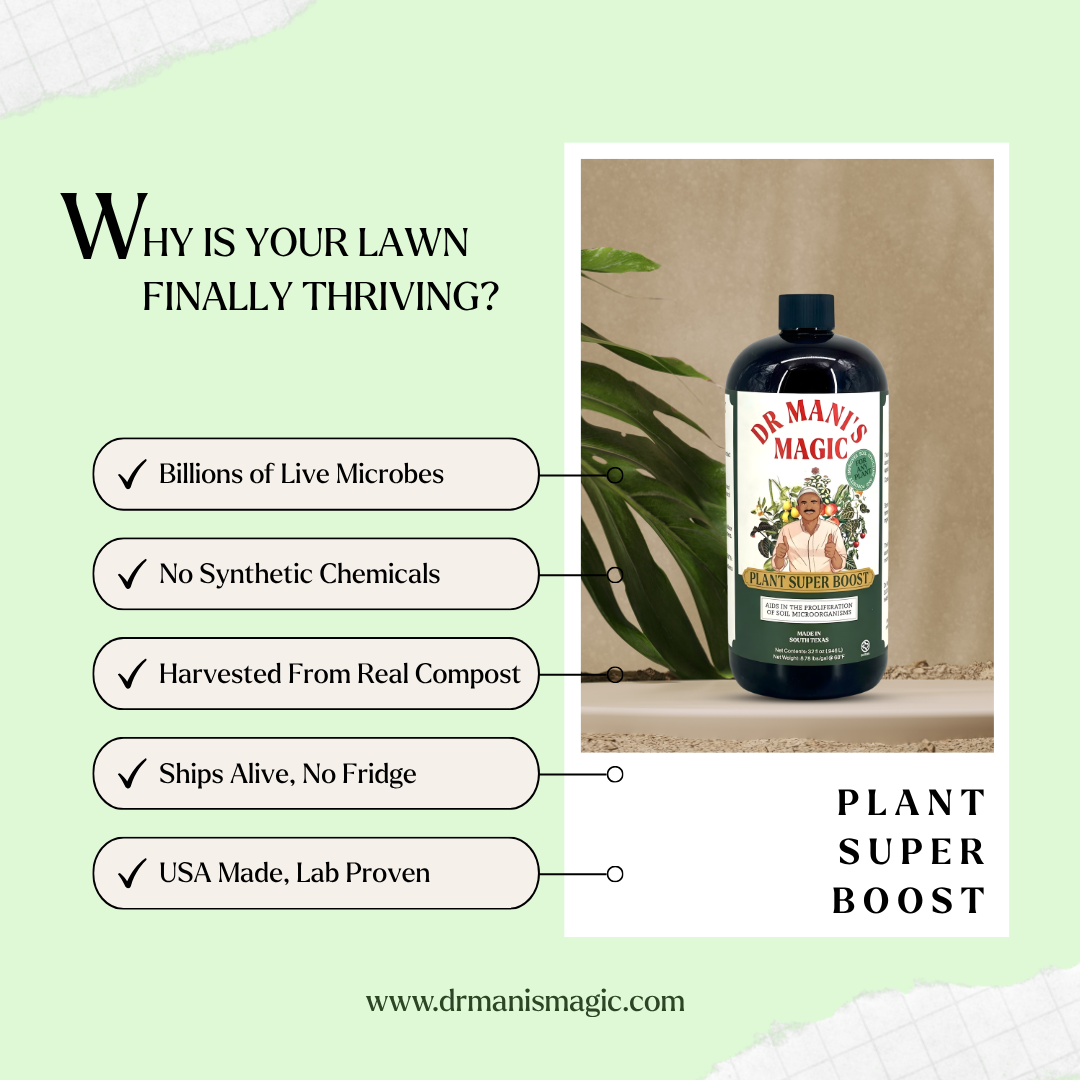 Plant Super Boost